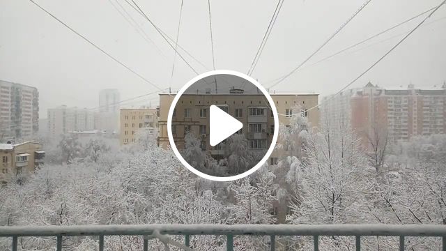 Moscow winter, nature travel. #1