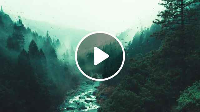 Pine watt, loop, ambient, relax, relax music, chill, nature, nature sounds, rain, rain forest, forest, cinemagraph, animation, looping, gif, hd gifs, hd background, pop, top, sad, after effects, live pictures. #1