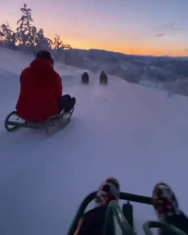 Sledding in norway is fun, winter, norway, omg, wtf, wow, lol, nature travel.