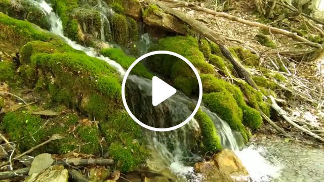 Stream, stream, nature's, water, harmony, nature travel. #0