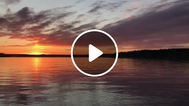 Sunset, nature, lake, sunset, black headed gulls, leningrad region, landscape, summer, gull, shot by me, nature travel. #1