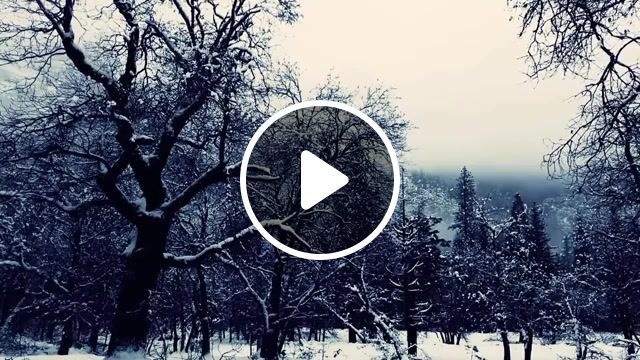 Winter in yosemite national park california usa, yosemite national park, winter, california, usa, arti fix journey into the past, music, nature travel. #0