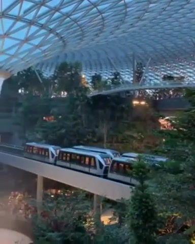 Awesome airport in singapore, airport, singapore, future now, engeneering, omg, wtf, wow, nature travel.