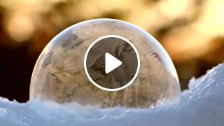 Bubbles Freezing in Slow Motion