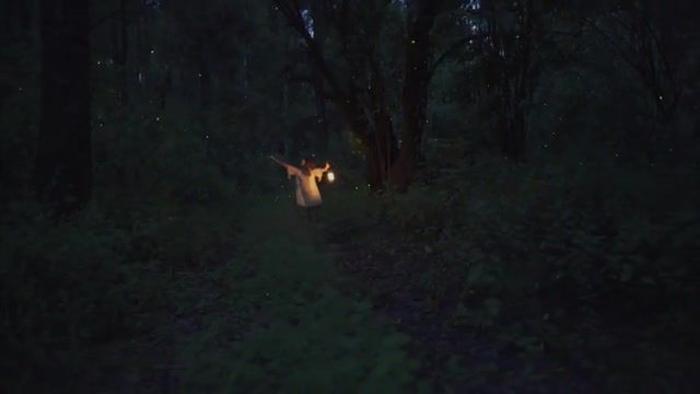 Philter Dance Of The Fireflies - Video & GIFs | national geographic,fireflies,relax music,electronic music,music,relax,electronic,philter,nature travel