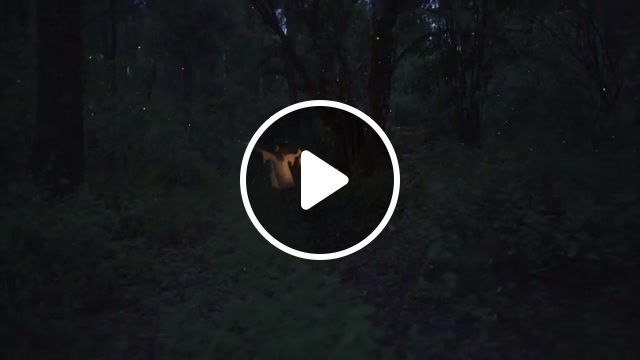 Philter dance of the fireflies, national geographic, fireflies, relax music, electronic music, music, relax, electronic, philter, nature travel. #1