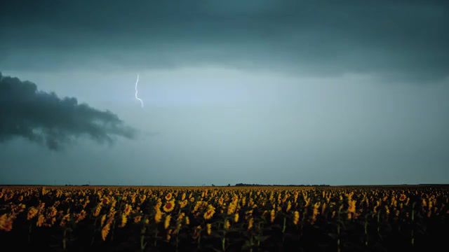 Transient 4K, UHD, 1000FPS, Phantom Flex4k, 1000fps, Slow Motion, Dfvc Com, Lightning, Weather, Storms, Storm Chasing, Time Lapse, 4k, Uhd, Dustin Farrell, Dustin Farrell Visual Concepts, Timelapse, Stock Footage, Birds, Flex 4k, Arizona, Monsoon, Supercell, Slowmo, Electricity, Stock Clips, Filmmaker, Rights Managed, Clip, Stock, License, Nature Travel