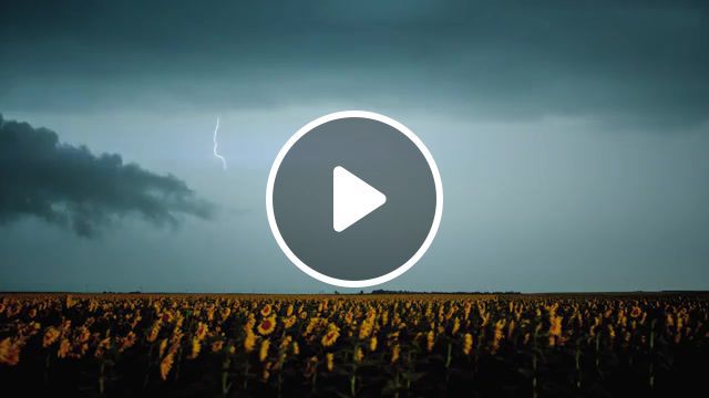Transient 4k, uhd, 1000fps, phantom flex4k, 1000fps, slow motion, dfvc com, lightning, weather, storms, storm chasing, time lapse, 4k, uhd, dustin farrell, dustin farrell visual concepts, timelapse, stock footage, birds, flex 4k, arizona, monsoon, supercell, slowmo, electricity, stock clips, filmmaker, rights managed, clip, stock, license, nature travel. #0
