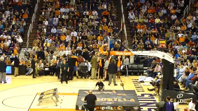Guy dunks himself through Basketball Hoop