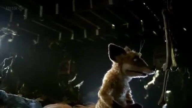 What DOES the Fox Say, Ylvis What Does The Fox Say, What Did The Fox Say, What Does The Fox Say, Ylvis The Fox, Ylvis The Fox Lyrics, Ylvis, The Fox, What The Fox Say, Whats The Fox Say, The Fox Say, Ylvis What Does The Fox Say Official Music, Fox Say, Ylvis Musical Artist, Fox, Songs, Music, Music Tv Genre, Tvnorge, Foxy, Musikk, Mongrel, Mongrels, Mongrels Best Moments, Mashup