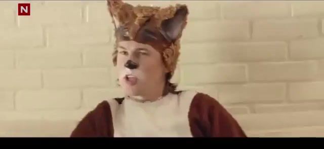 What the fox say, what does the fox say, ylvis, fox, what the fox say, gino pietermaai, miauw miauw nigga, nigga, miauw miauw, mashup.