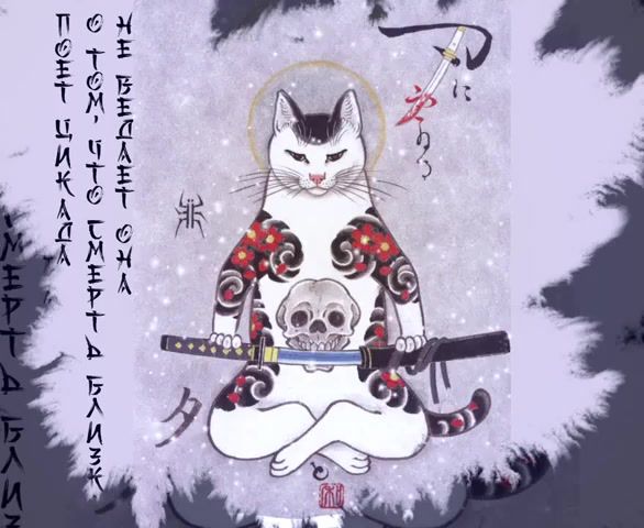 Art Cat. Art. Japan. Animation. Samurai. Freelance. Cat. Free Flow Flava Nayami. Art Design. #2