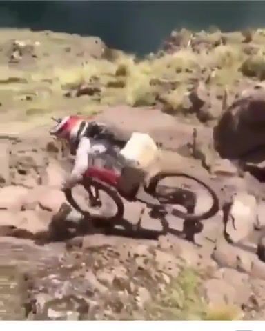 Hold My Beer While I Ride Down This Mountain. Sports.