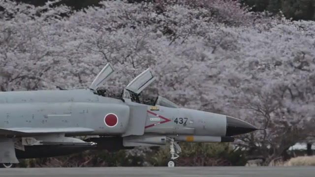 Come and fly away with me, f 4, phantom, hyakuri air base, japan, japan air force, cherry flower, hanami, f4 phantom, thefatrat, thefatrat fly away, come and fly with me, fly away, aircraft, landing, science technology.