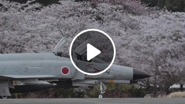 Come and fly away with me, f 4, phantom, hyakuri air base, japan, japan air force, cherry flower, hanami, f4 phantom, thefatrat, thefatrat fly away, come and fly with me, fly away, aircraft, landing, science technology. #0