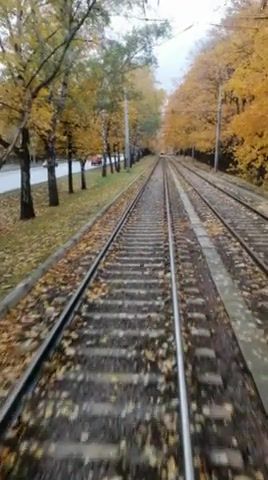 Autumn, Autumn, Tram, Nature Travel