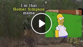 Homer simpson in arma iii