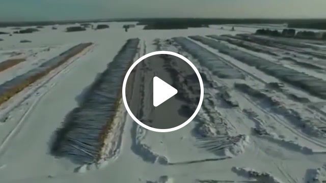 Like putin, the siberian forest was sold to the chinese, deforestation, siberia, irkutsk region, maltsev, artillery preparation, bad news, putin, revolution, mironov, gorsky, beletsky, demushkin, galperin, bulk, protein, first, russian, rally, elections, protest, picket, artpodgotovka. #0 Like putin, the siberian forest was sold to the chinese, deforestation, siberia, irkutsk region, maltsev, artillery preparation, bad news, putin, revolution, mironov, gorsky, beletsky, demushkin, galperin, bulk, protein, first, russian, rally, elections, protest, picket, artpodgotovka. #0