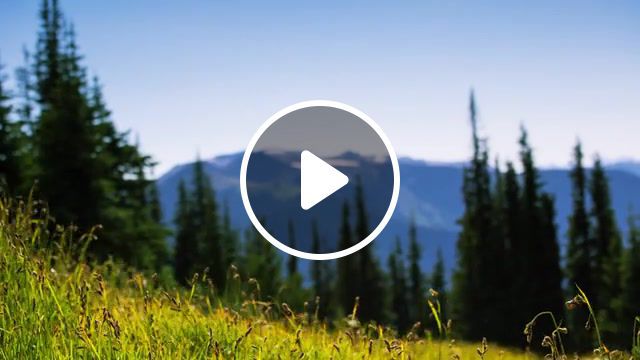 Olympic, national park, travel, music, olympic, nature travel. #0
