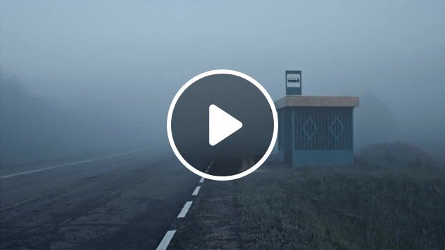 Scary foggy night, chill, relax, fog, nature travel. #0