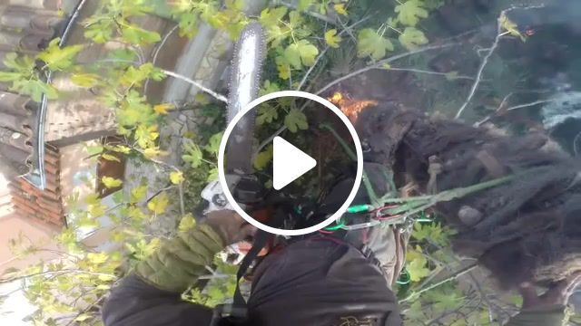 Chainsaw, fly, river, water, flying, nature travel. #0