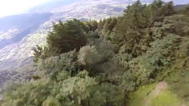 Trees, Ambient, Sound, Music, Koran Angel, Lone, Bonuscrystals, Flying, Flying Suit, Trees, Nature Travel