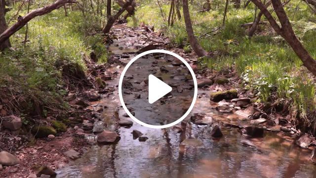 Wild stream, nature travel. #0