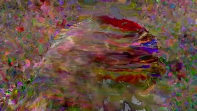 Cat The Mindblower Meow Meow, For The Meaningful Talks, Adultswim, Friday Night Fever, Meow, Wtf, Weird, Wow, Scattle, Timelapse, Psychodelic, Kitten, Glitch Art, Glitche, Glitch, Strange Guy, Mindblowing, Cute Cat, Cat, Art, Art Design