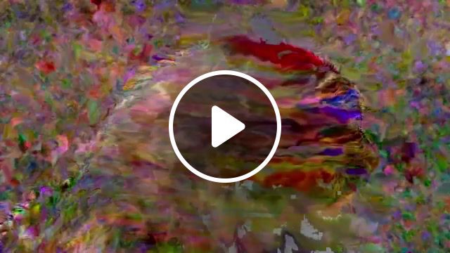 Cat the mindblower meow meow, for the meaningful talks, adultswim, friday night fever, meow, wtf, weird, wow, scattle, timelapse, psychodelic, kitten, glitch art, glitche, glitch, strange guy, mindblowing, cute cat, cat, art, art design. #0