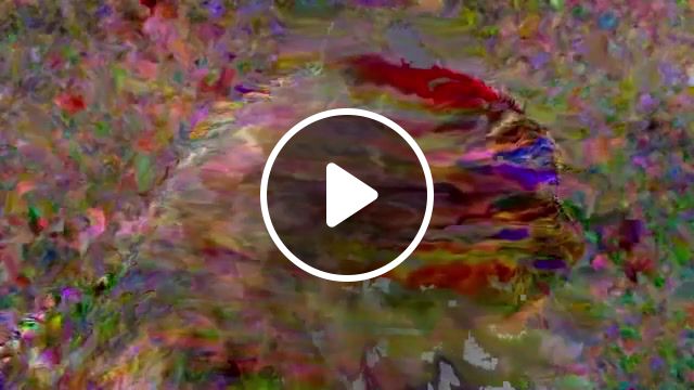Cat the mindblower meow meow, for the meaningful talks, adultswim, friday night fever, meow, wtf, weird, wow, scattle, timelapse, psychodelic, kitten, glitch art, glitche, glitch, strange guy, mindblowing, cute cat, cat, art, art design. #1
