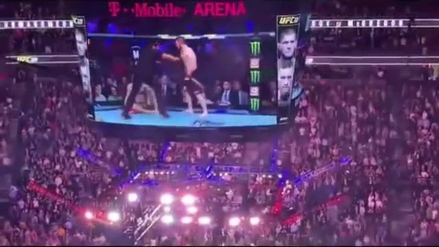 Conor mcgregor vs khabib team brawl after ufc 229, ufc229, mma, ufc, conor, conor mcgreggor, khabib, fight, brawl, wild, viral, news, mayweather, close, up close, pay per view, ufcs, react, recations, dana white, chaos, sports.