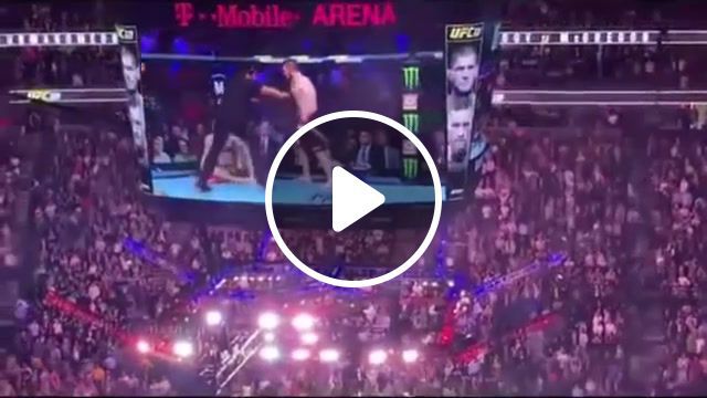 Conor mcgregor vs khabib team brawl after ufc 229, ufc229, mma, ufc, conor, conor mcgreggor, khabib, fight, brawl, wild, viral, news, mayweather, close, up close, pay per view, ufcs, react, recations, dana white, chaos, sports. #0