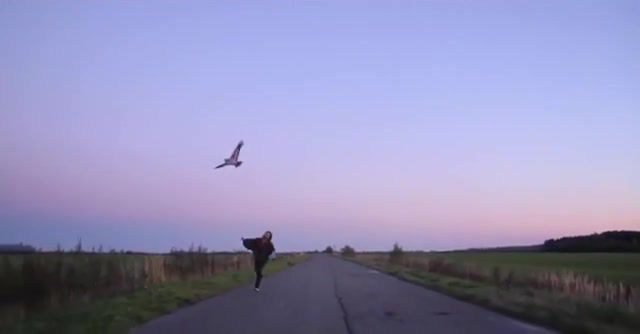 Be free, Freedom, Running, Bird, Feels Good, Sky, Chill Music, Waiting For Summer Days, Girl, Nature Travel