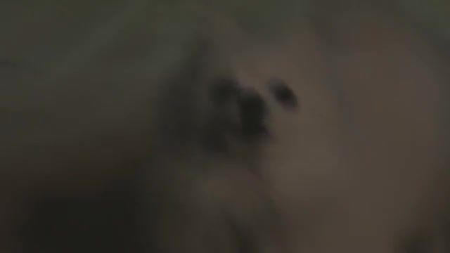 Gabe the doge thanks doggo, woofstorm, noscope, mlg, 1337, song name, song pls, ytmp, ytp, new dog source, the new dog source, the new dog, gaw, dog, new dog, sandstorm, darude.