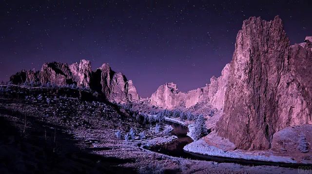Infrared in Oregon - Video & GIFs | usa,nature,night,cinemagraph,cinemagraphs,loop,eleprimer,live pictures