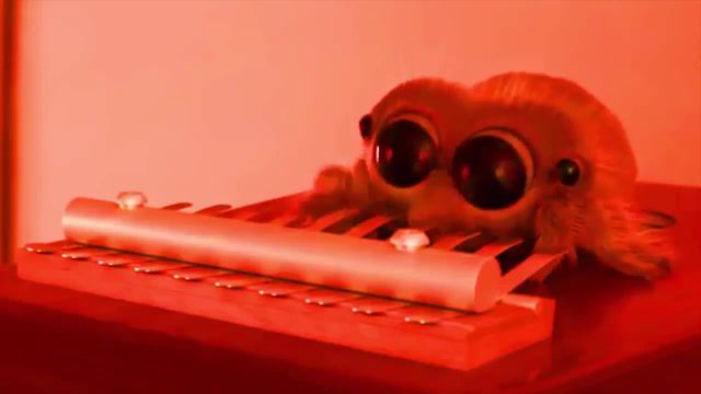 Lucas the most musical spider, lucas the spider, meme, spider meme, ladidadidad, ladidadi dad slob on me knob, lucas meme, lucas the spider meme, nature travel.