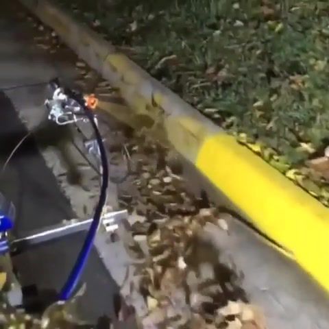 Painting a curb, painting, curb, painting a curb, what a wonderful world, wonderful world, louis armstrong, reddit, beautiful, wonderful, relax, relaxing, relax music, science technology.