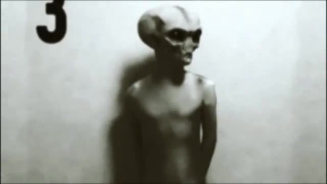 Real, real, alien, caught on tape, ufo, sightings, area 51, roswell, new, mexico, syfy, files, nature travel.