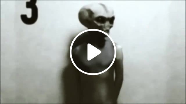 Real, real, alien, caught on tape, ufo, sightings, area 51, roswell, new, mexico, syfy, files, nature travel. #0