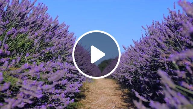 The beauty of france, photography, timelapses, france, monaco, saint tropez, nice, cote d azur, provence, sea, lake, bridge, drone, gorge, gorges, valley, mountain, gorges du verdon, yacht. #0