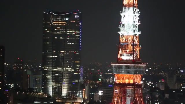 Tokyo nights, Music, Japan, Tokyo, Toxicoz, Nature Travel