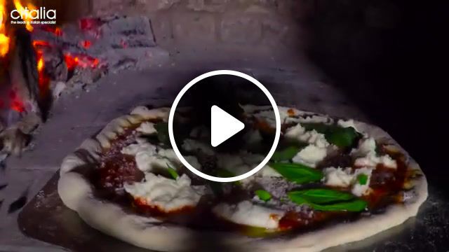 Happy duck with gennaro contaldo citalia hoogs dry wall, hoogs, gennaro contaldo, citalia, funny moments, fun, happy moments, happiness, pets, animals, duck, making pizza, home cooking, cooking, italy, pizza, drum and b, dnb, calypso, food kitchen. #0
