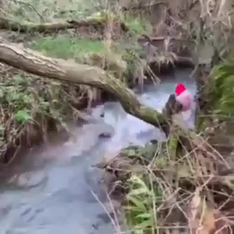 A helping hand re, Fails Compilation, Fail Compilation, Failing, Falling, Fail, Fails, Funny, Funny Moments, Fun, Nature Travel