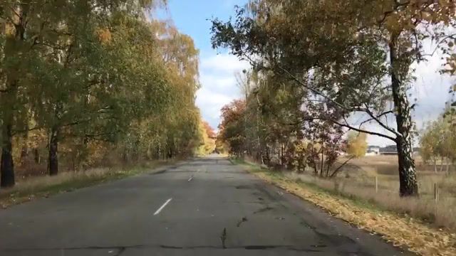 Autumn road, Nature Travel, Motion, Traveling, Travel, Trees, Orange Leaves, Orange, Yarshut Nature, Nature, Yarshutv, Yarshut, Autumn, Road