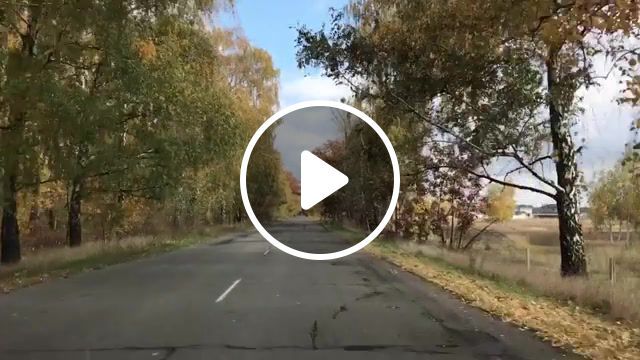 Autumn road, nature travel, motion, traveling, travel, trees, orange leaves, orange, yarshut nature, nature, yarshutv, yarshut, autumn, road. #0