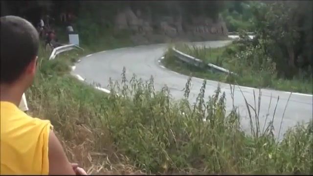 Rally race rabbit, rally, race, wtf, rabbit, spain, racing, nature travel.