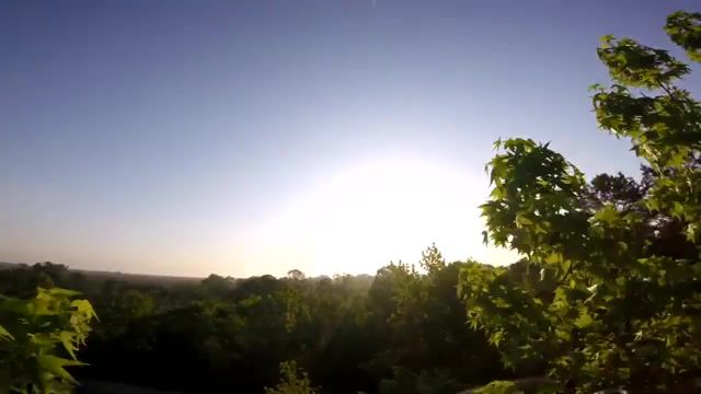 Remote controlled Butterfly, Drone, Fpv, Butterfly, Beautiful, Rc, Remote Control, Epic, Like A Boss, Boy, Oy, Epic Drone, Epic Rc, Sunset, Sun Set, Nature Travel