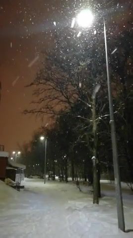 Snow slow, Megapolis, Forest, Beautiful, Alone, Piter, Saint Petersburg, Sankt Peterburg, Spb, Winter, Snow, Nature Travel