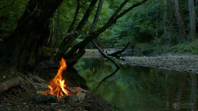 Campfire. River. Forest, Campfire, River, Forest, Summer, Relaxing, Music, Dreamend, Pink Cloud In The Woods, Woods, Calm, Meditation