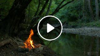 Campfire. River. Forest